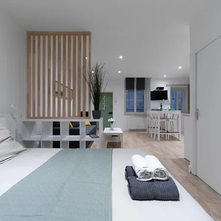 ※perrier Fraise※ Coeur De ⁕ Appt D'exception クレルモン・フェラン