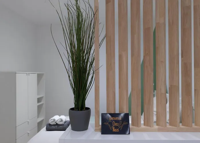 ※perrier Fraise※ Coeur De ⁕ Appt D'exception Apartmán Clermont-Ferrand